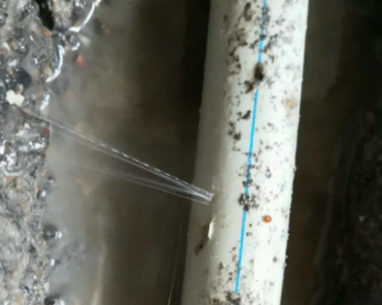 全南卫生间测漏水多少钱