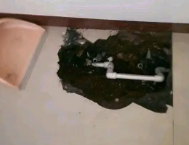 全南卫生间测漏水多少钱